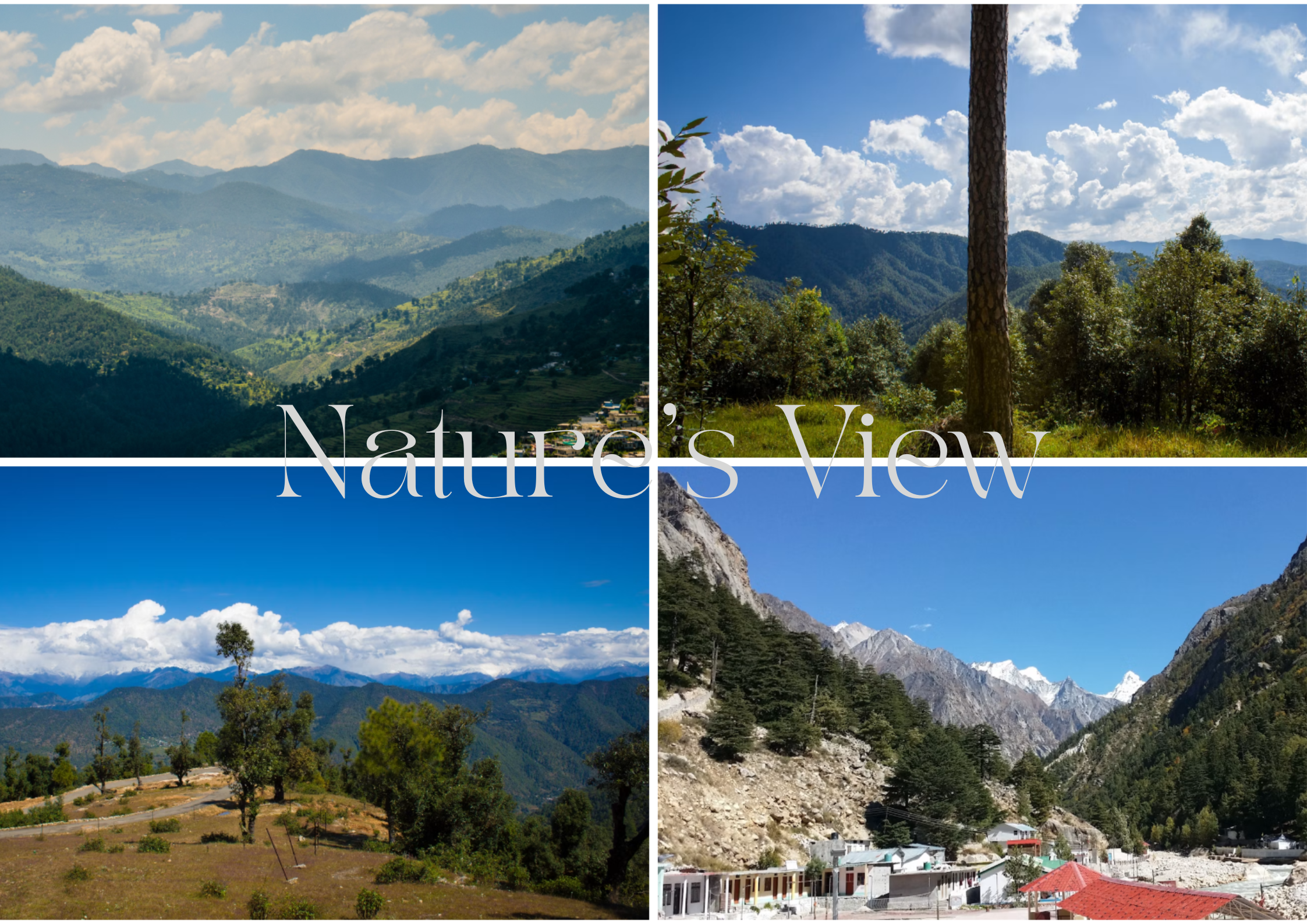 Nature view